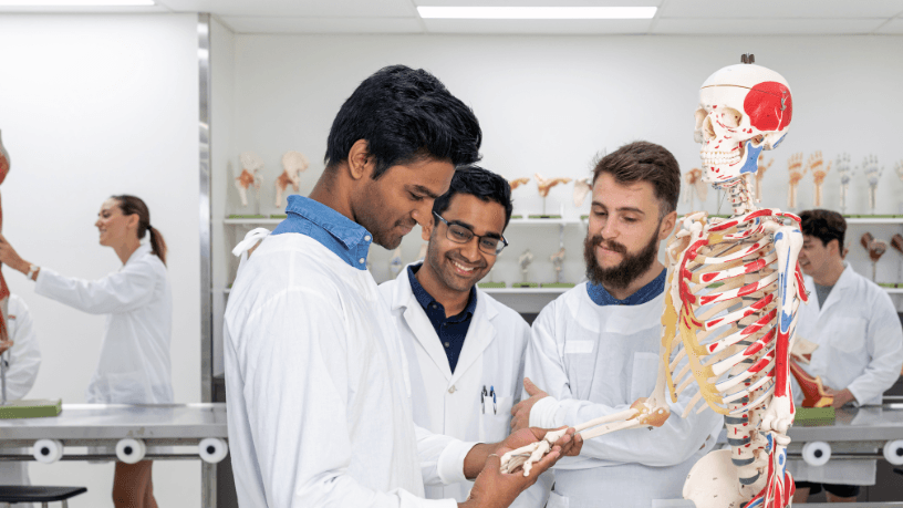 Prefeitos da Fronteira e Campanha formalizam apoio para curso de Medicina em Bagé