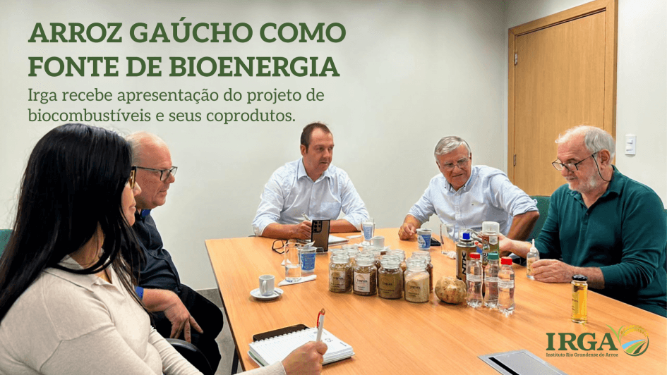 Novo mercado de biocombustíveis deve absorver produção de arroz de Bagé e região