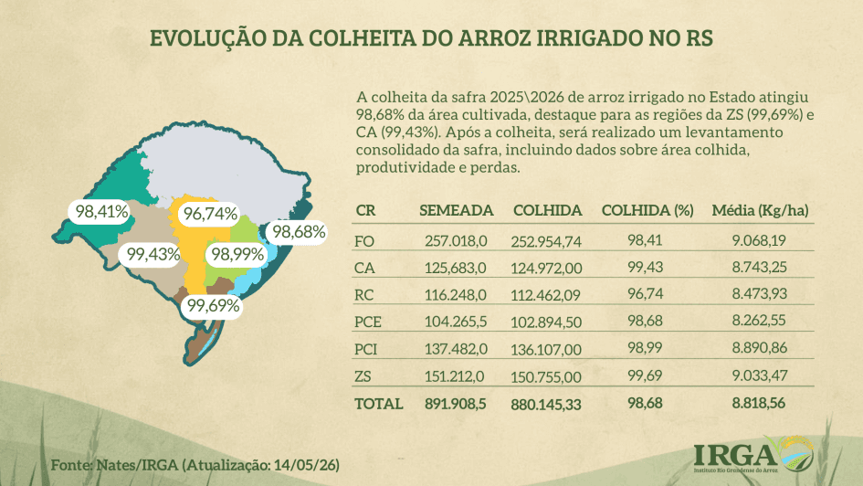 Safra de arroz na Campanha atinge 99,43% de colheita
