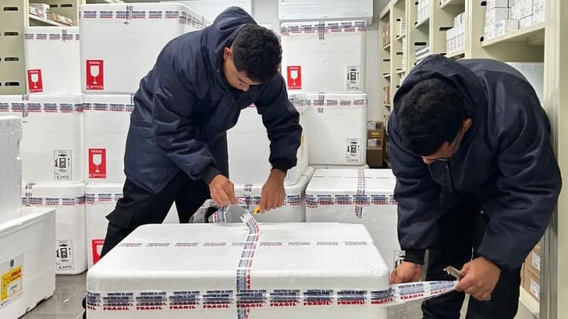 RS recebe 536 mil doses de vacina contra gripe para reforçar campanha