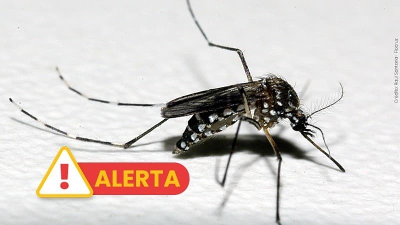 RS confirma segunda morte por dengue em 2026