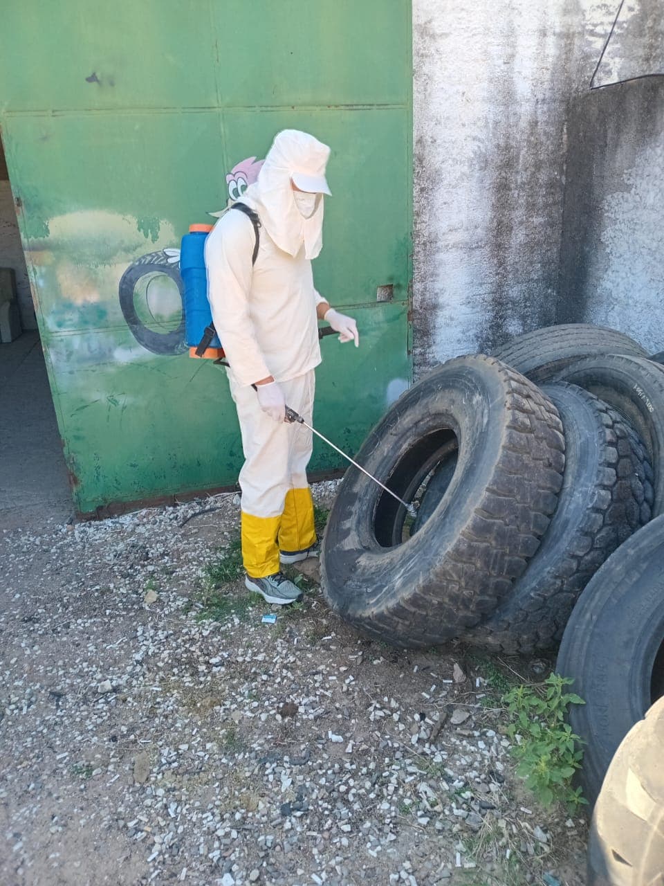 Bagé Livre de Dengue: Saúde Pública Monitora e Combate Mosquitos