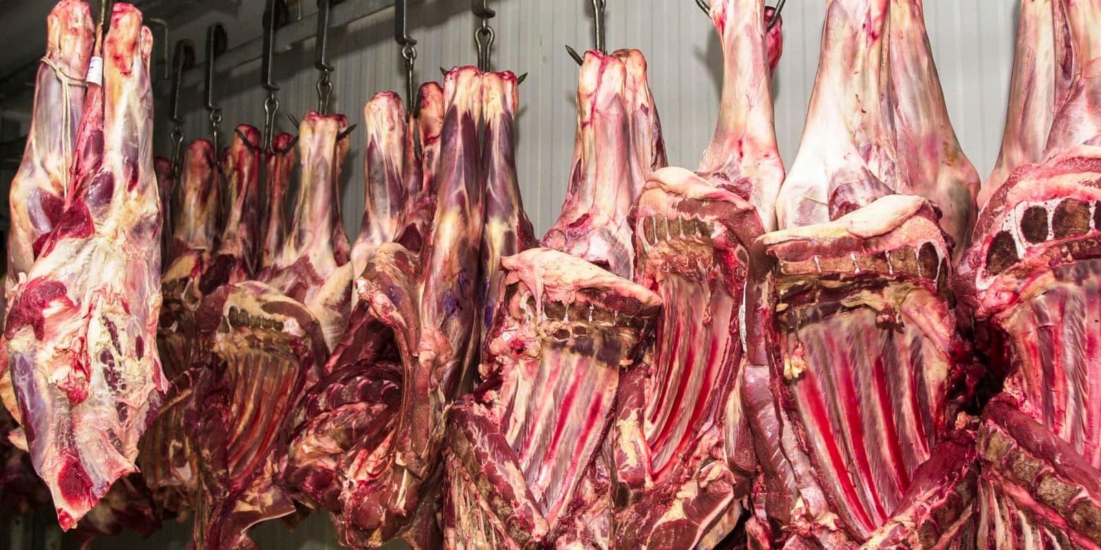 Suspensão de frigoríficos pela China impacta mercado de carne bovina