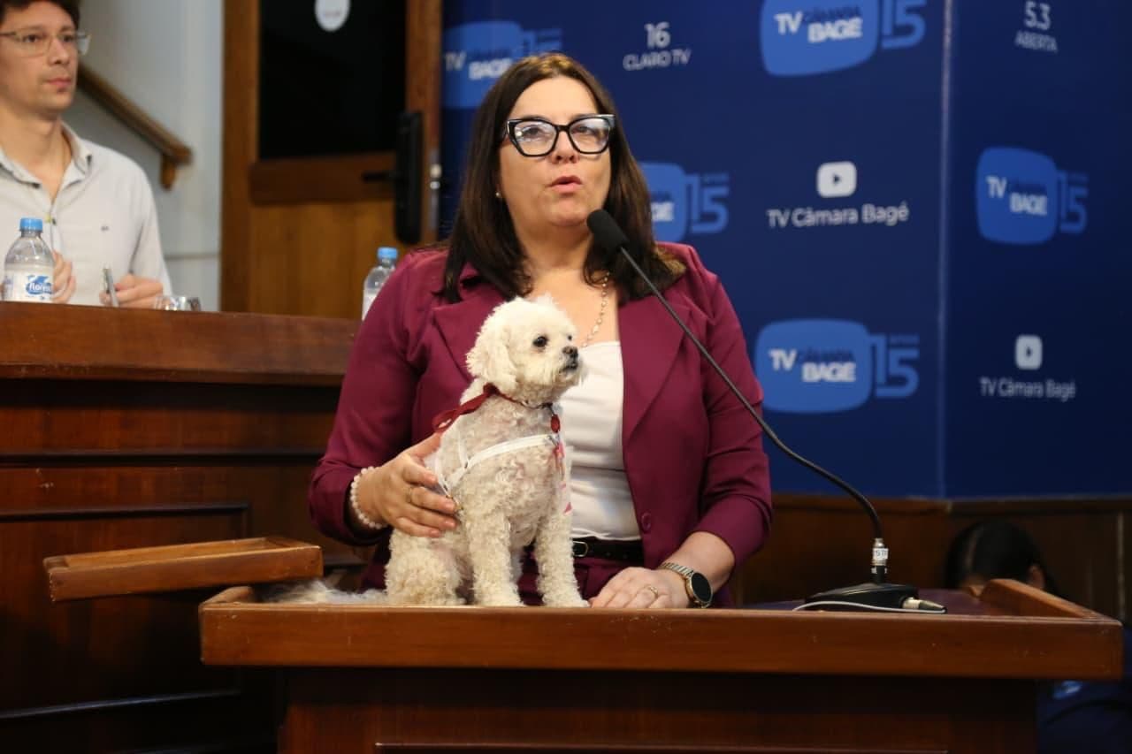 Câmara de Vereadores de Bagé sedia II Jornada Animal nesta quarta-feira